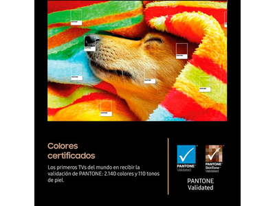 Imagen 5